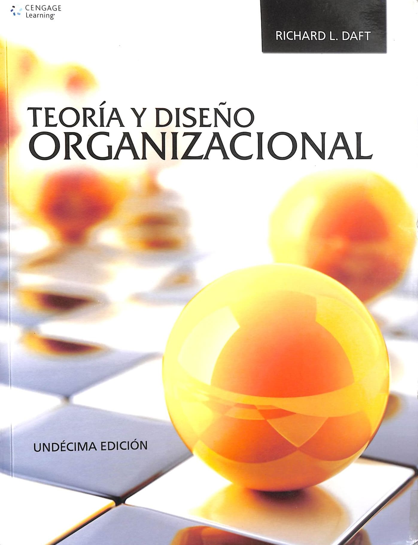 Teoría y diseño organizacional_001